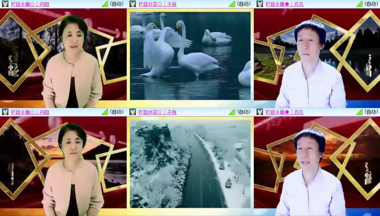 浓茶🎤V娱热点