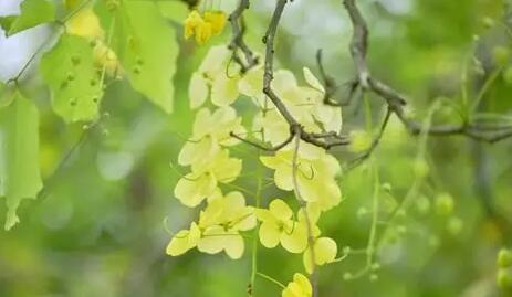 曾经🎤V娱热点