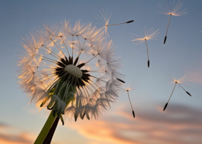 飘雪🎤V娱热点