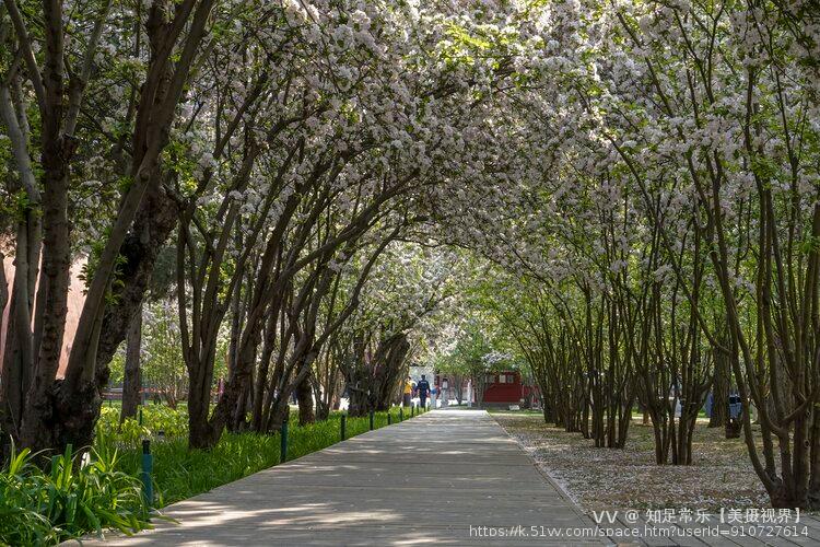 知足常乐【美摄视界】