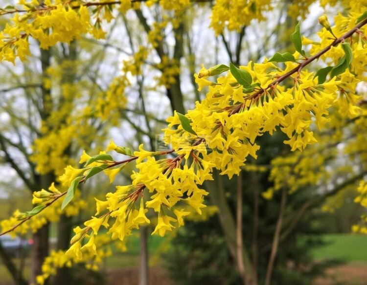 小浅🎤V娱热点