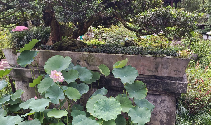 雪儿🎤V娱热点