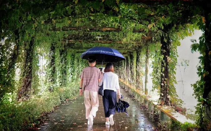 雪儿🎤V娱热点