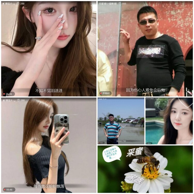 无言🎤V娱热点