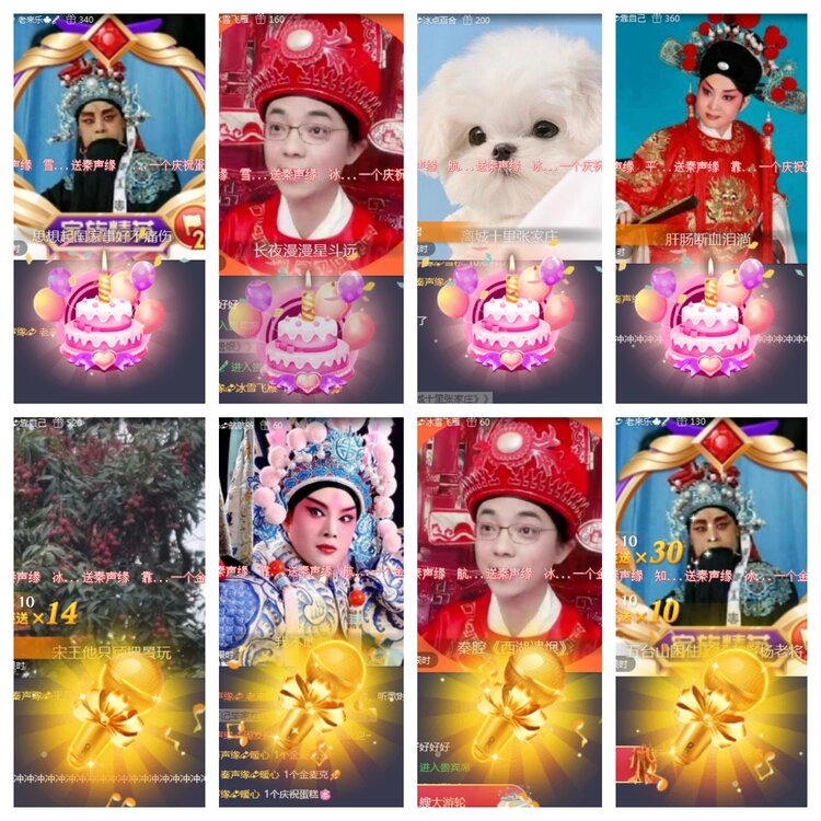 海燕🎤V娱热点