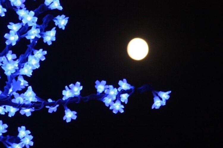 云之（回复不周请谅解）