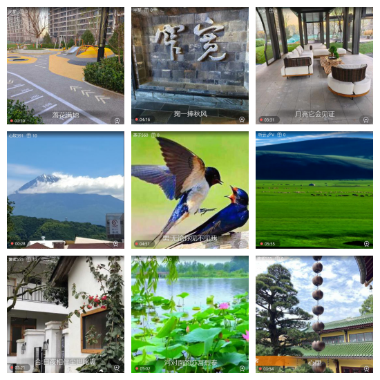 芯薇🎤V娱热点