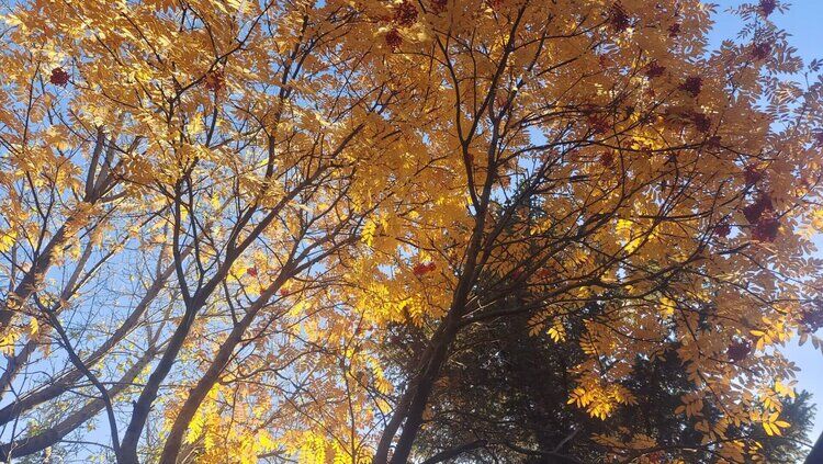 雪儿🎤V娱热点