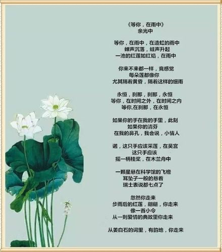 等你在雨中作者余光中