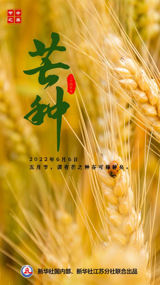 西窗剪烛合集诗词第2167集之芒种时节2原创首发