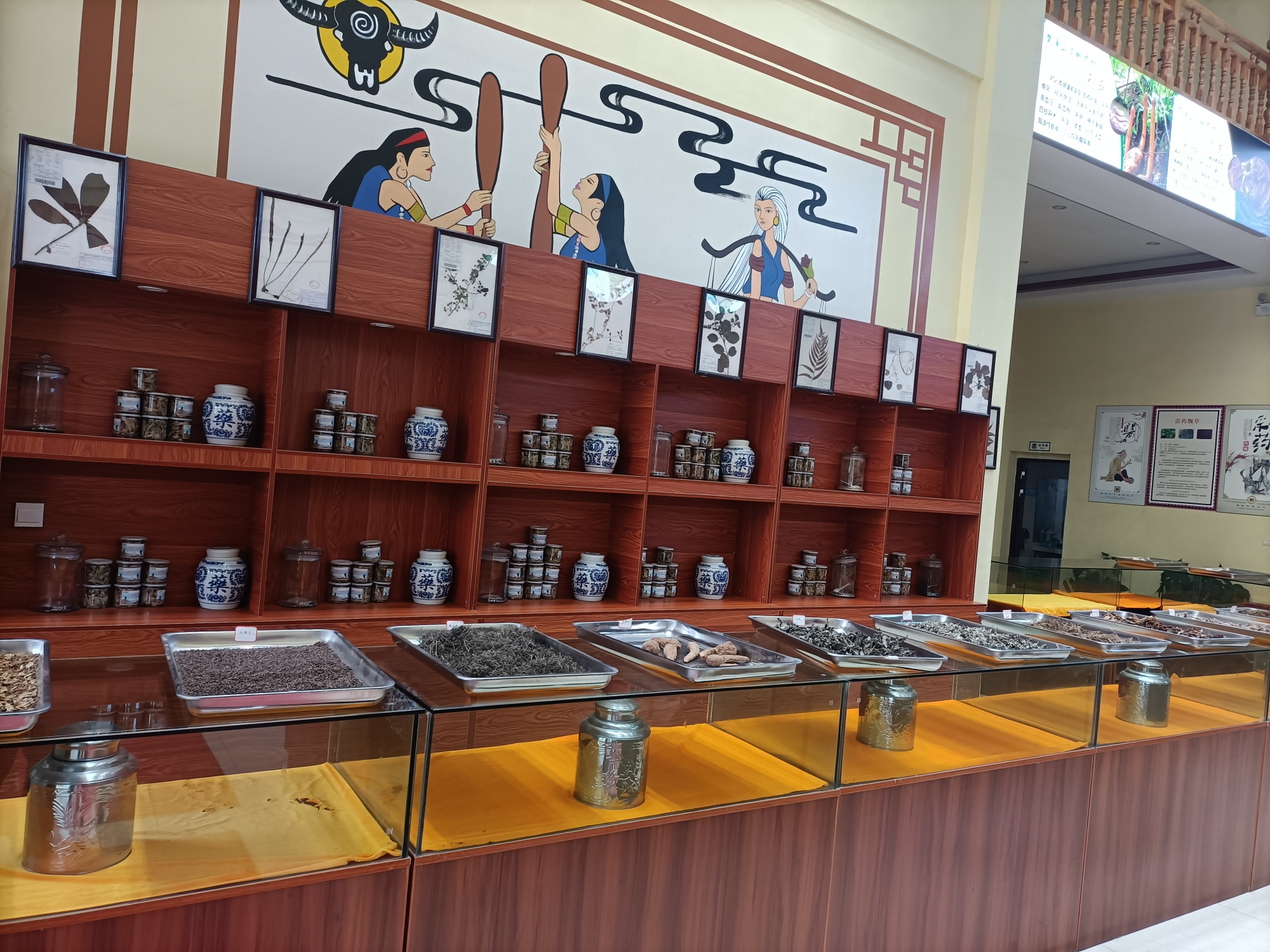 贵州省江口县民间中草医团队参观贵州苗药生物技术有限公司