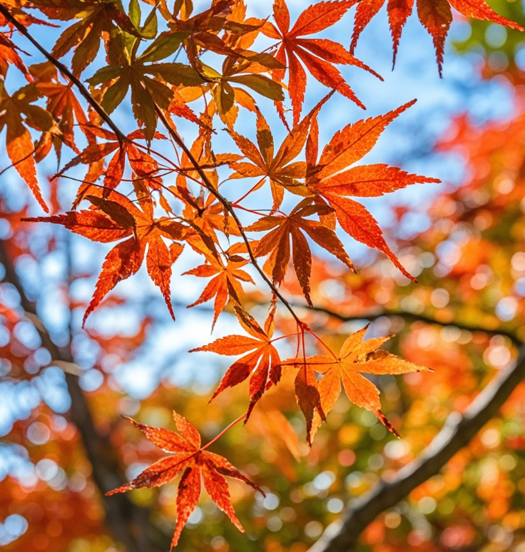 曾经🎤V娱热点