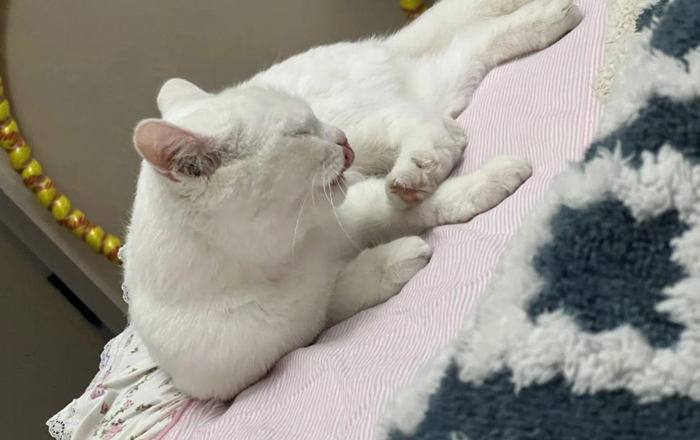 雪儿🎤V娱热点