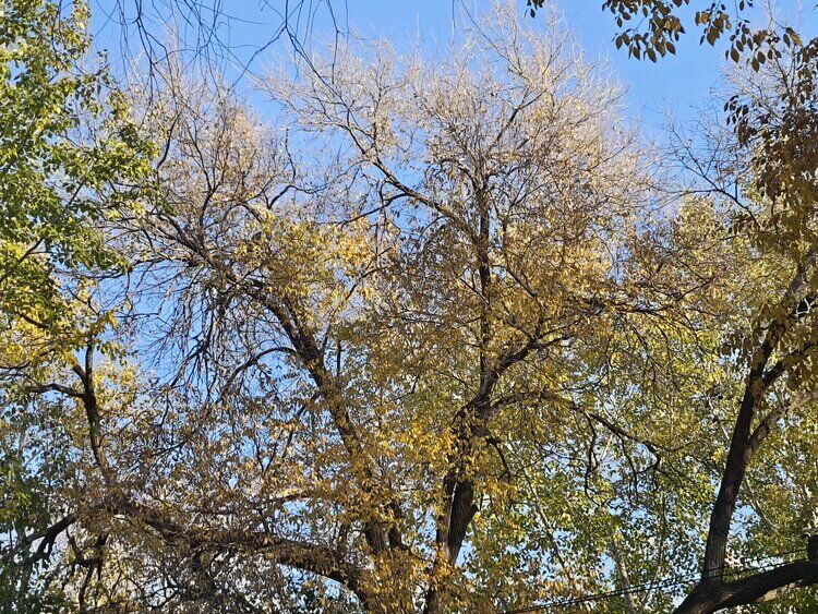 雪儿🎤V娱热点