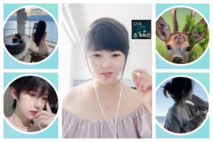 海燕🎤V娱热点