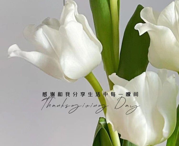 雪儿🎤V娱热点