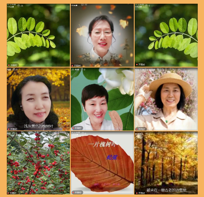 执白🎤V娱热点