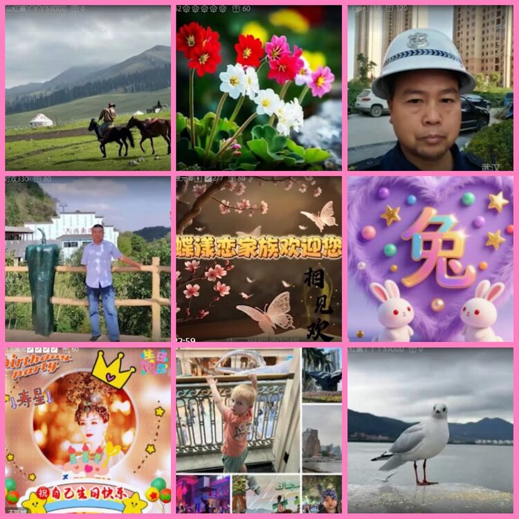 惜缘🎤V娱热点