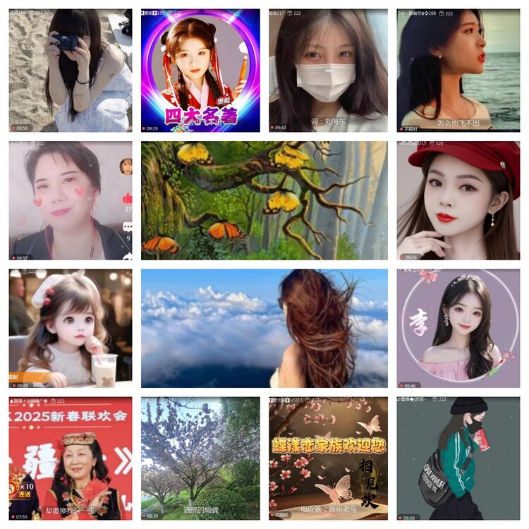 海燕🎤V娱热点