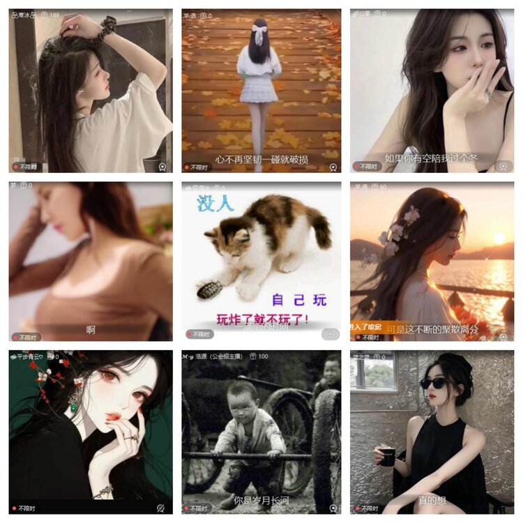 南风🎤V娱热点