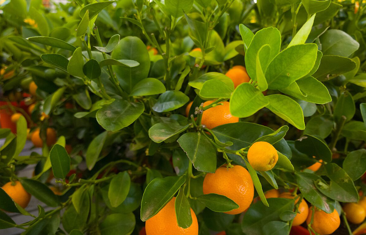 雪儿🎤V娱热点