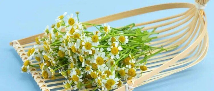 曾经🎤V娱热点