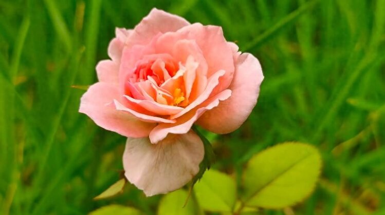 小浅🎤V娱热点