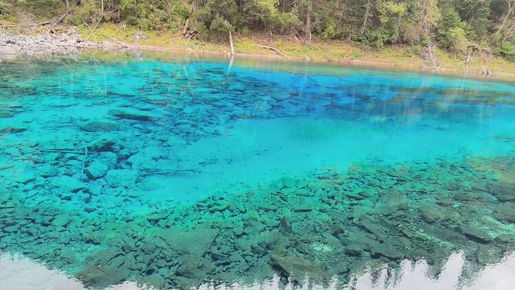 雪儿🎤V娱热点