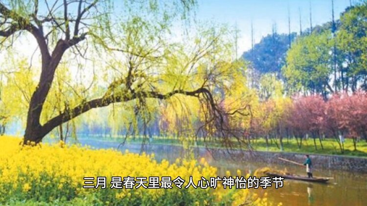 小浅🎤V娱热点