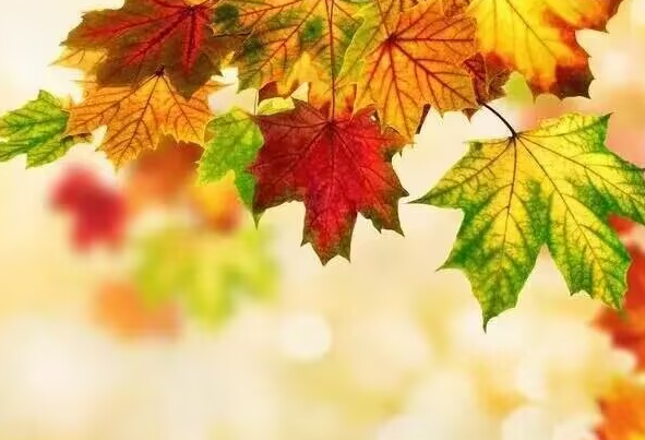 雪儿🎤V娱热点