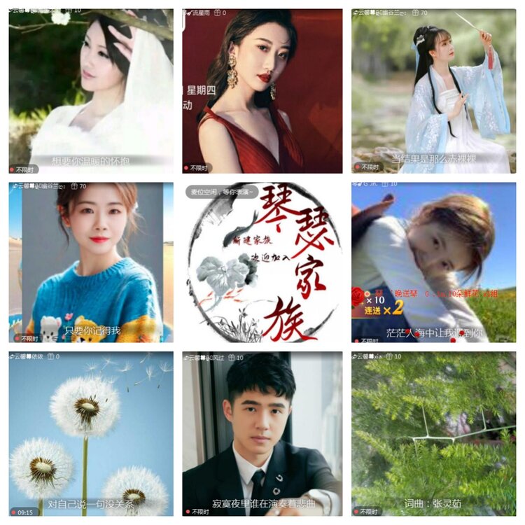 海燕🎤V娱热点