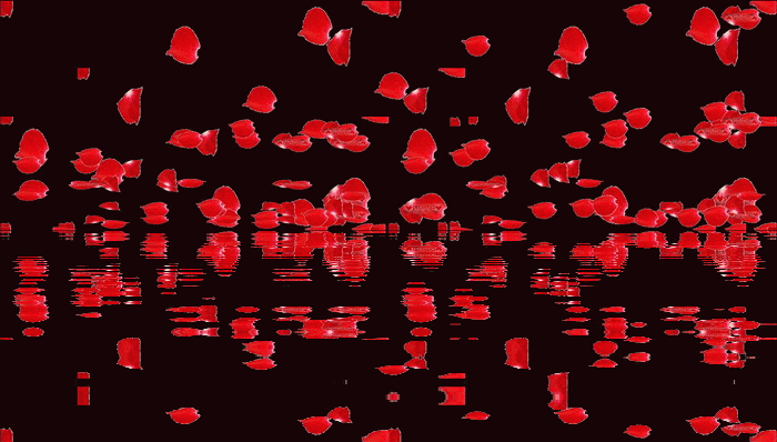 700_398gif 动态图 动图