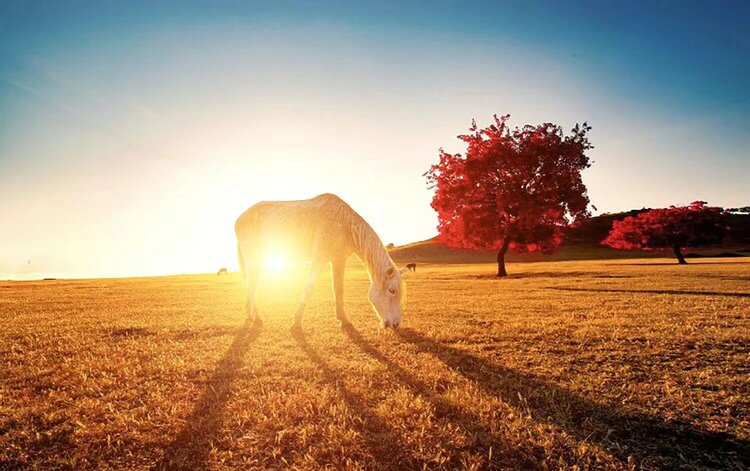 雪儿🎤V娱热点