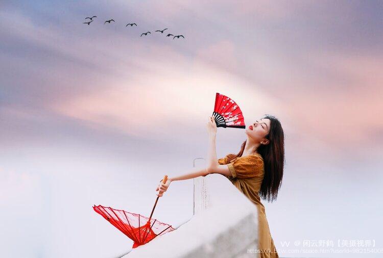 闲云野鹤【美摄视界】