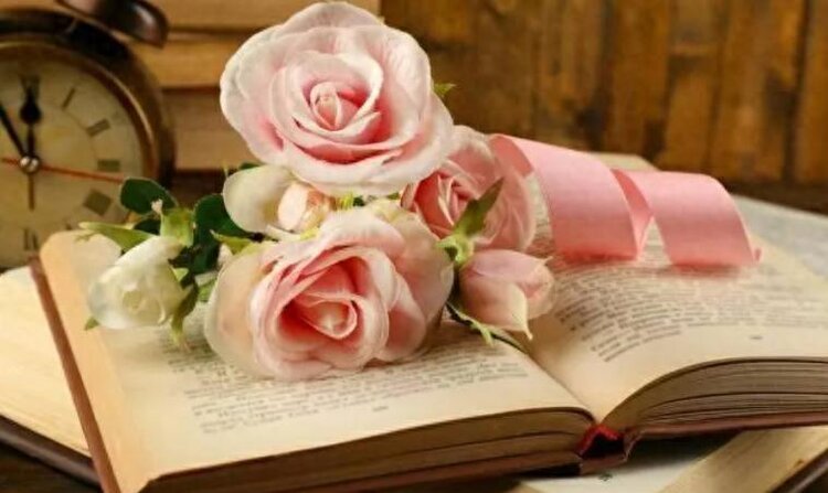 小浅🎤V娱热点