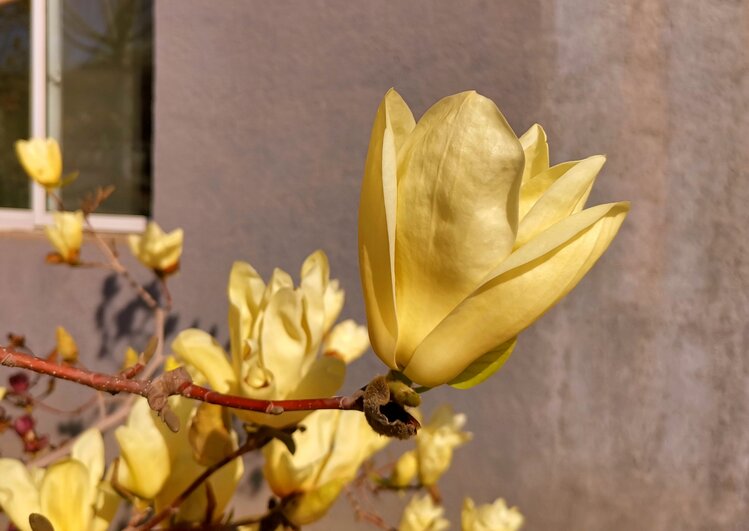 北京黄爷【美摄视界】