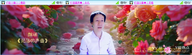 无言🎤V娱热点