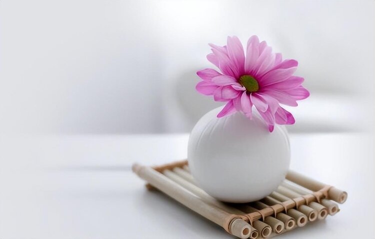 小浅🎤V娱热点