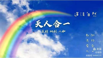 証悟