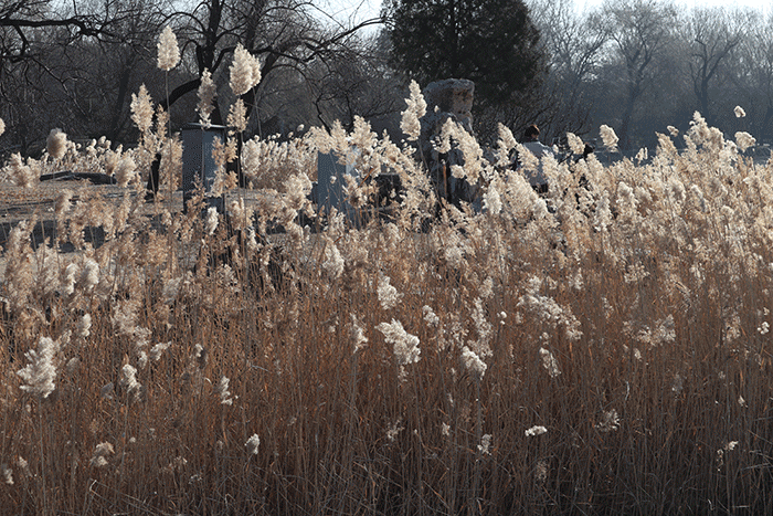 风78957715vv音乐首发77159578溪风2021-10-23阅读