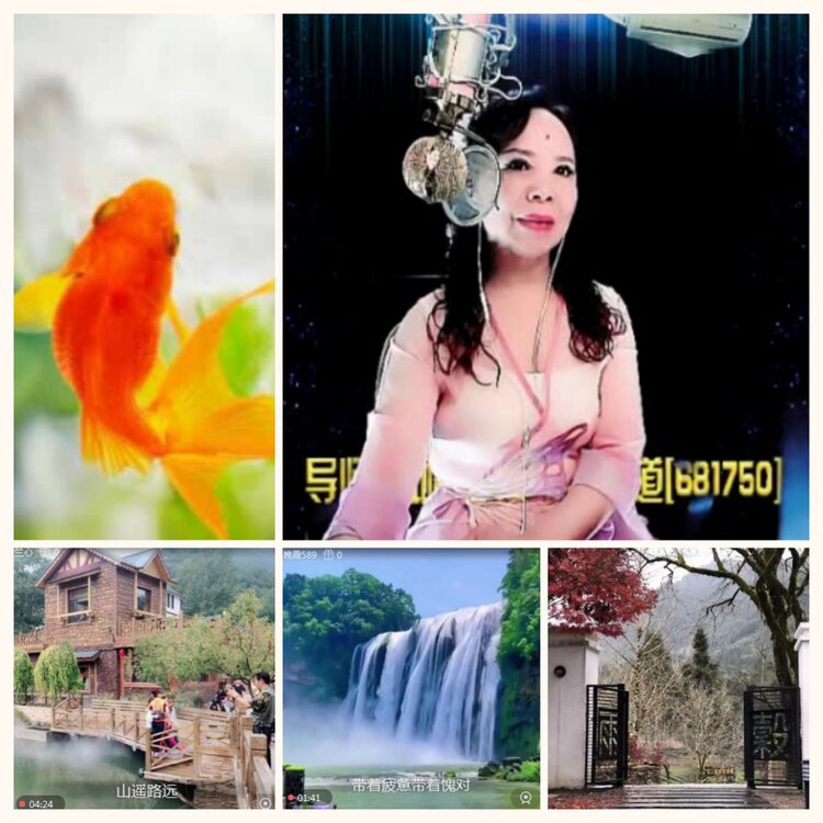 落雪🎤V娱热点