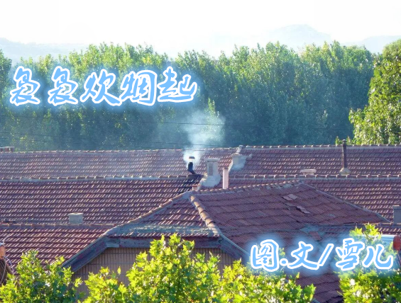 雪儿🎤V娱热点