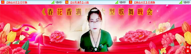 无言🎤V娱热点