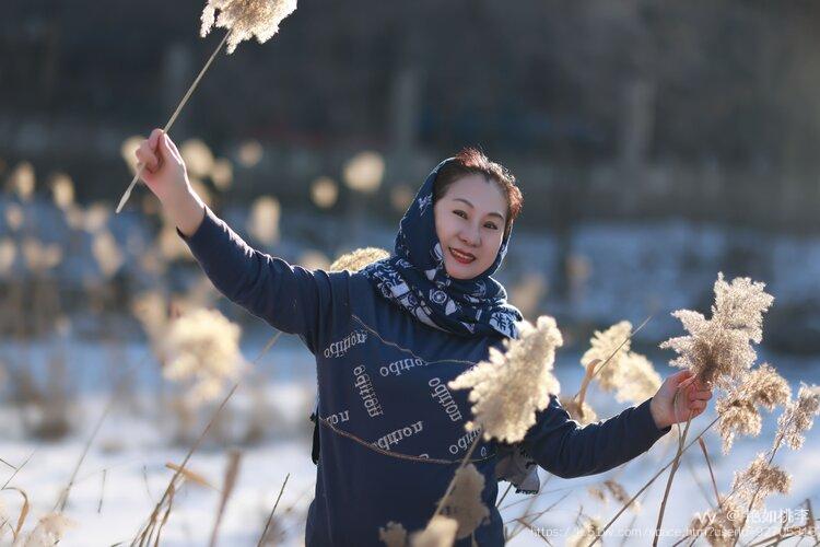 艳如桃李