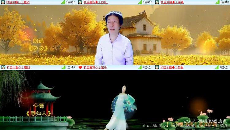 橘猫🎤V娱热点