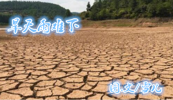 雪儿🎤V娱热点