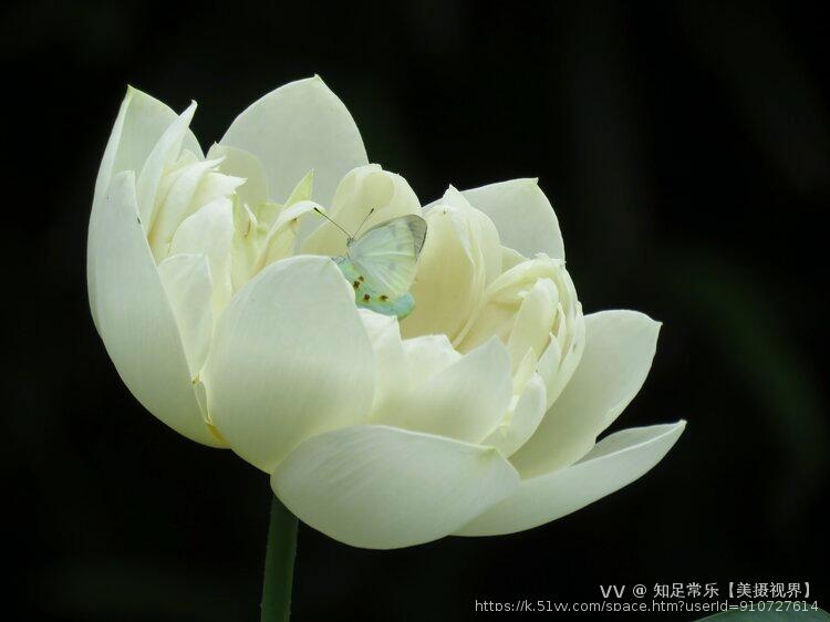 知足常乐【美摄视界】