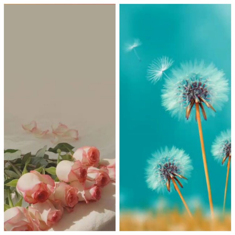 小六🎤V娱热点