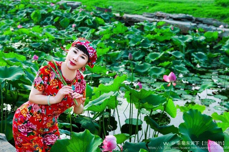 采菊东篱下【兰亭雅韵】