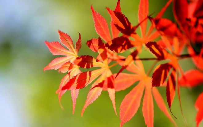 小浅🎤V娱热点